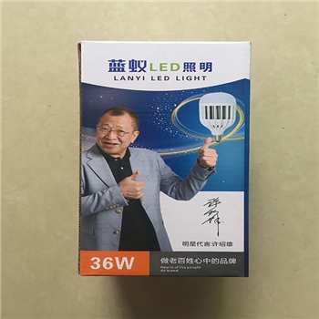 蓝蚁 LED球泡36W